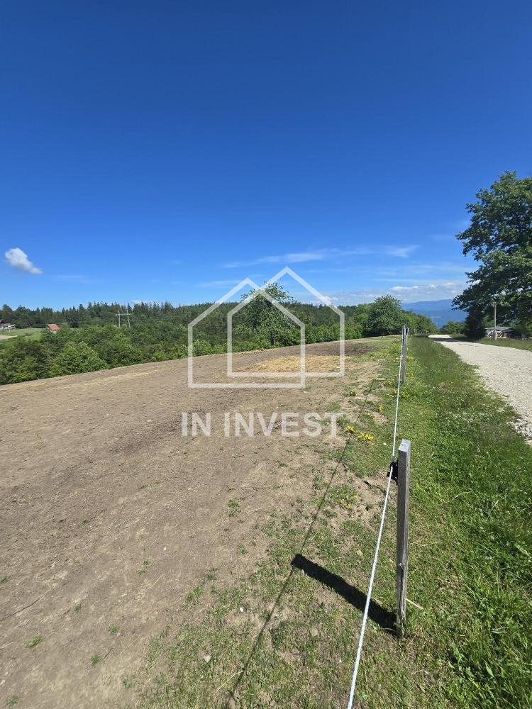 Prodaja placeva Tara, Plac na Tari u blizini Hotela Beli Bor